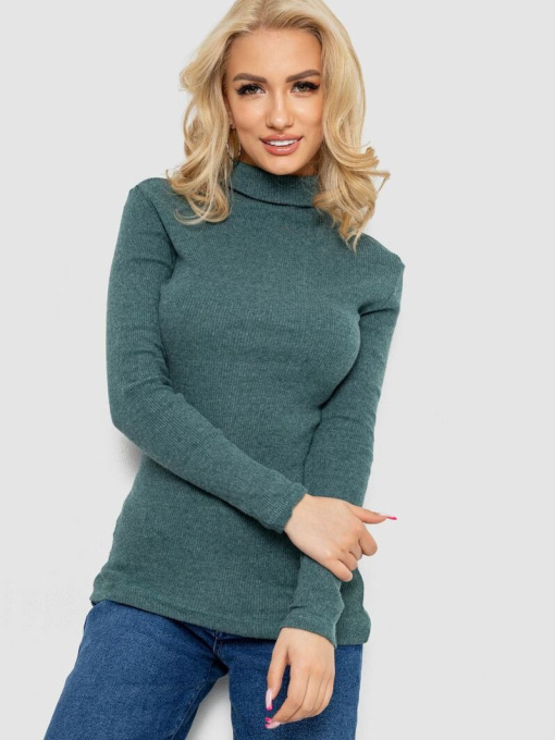 Водолазка Ager модель У-1136029::000000040 Фото