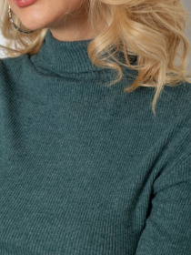 Водолазка Ager модель У-1136029::000000040 Фото