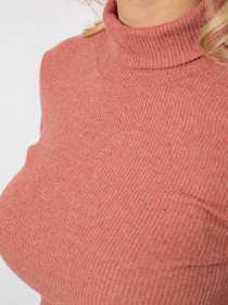 Водолазка Ager модель У-1136029::000000238 Водолазка Ager модель У-1136029::000000238 Фото