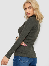 Водолазка Ager модель У-1136029::000000227 Фото