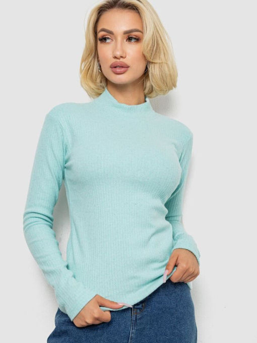 Водолазка Ager модель У-1138535::000000589 Фото