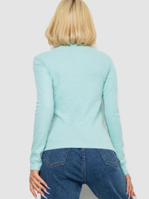 Водолазка Ager модель У-1138535::000000589 Фото