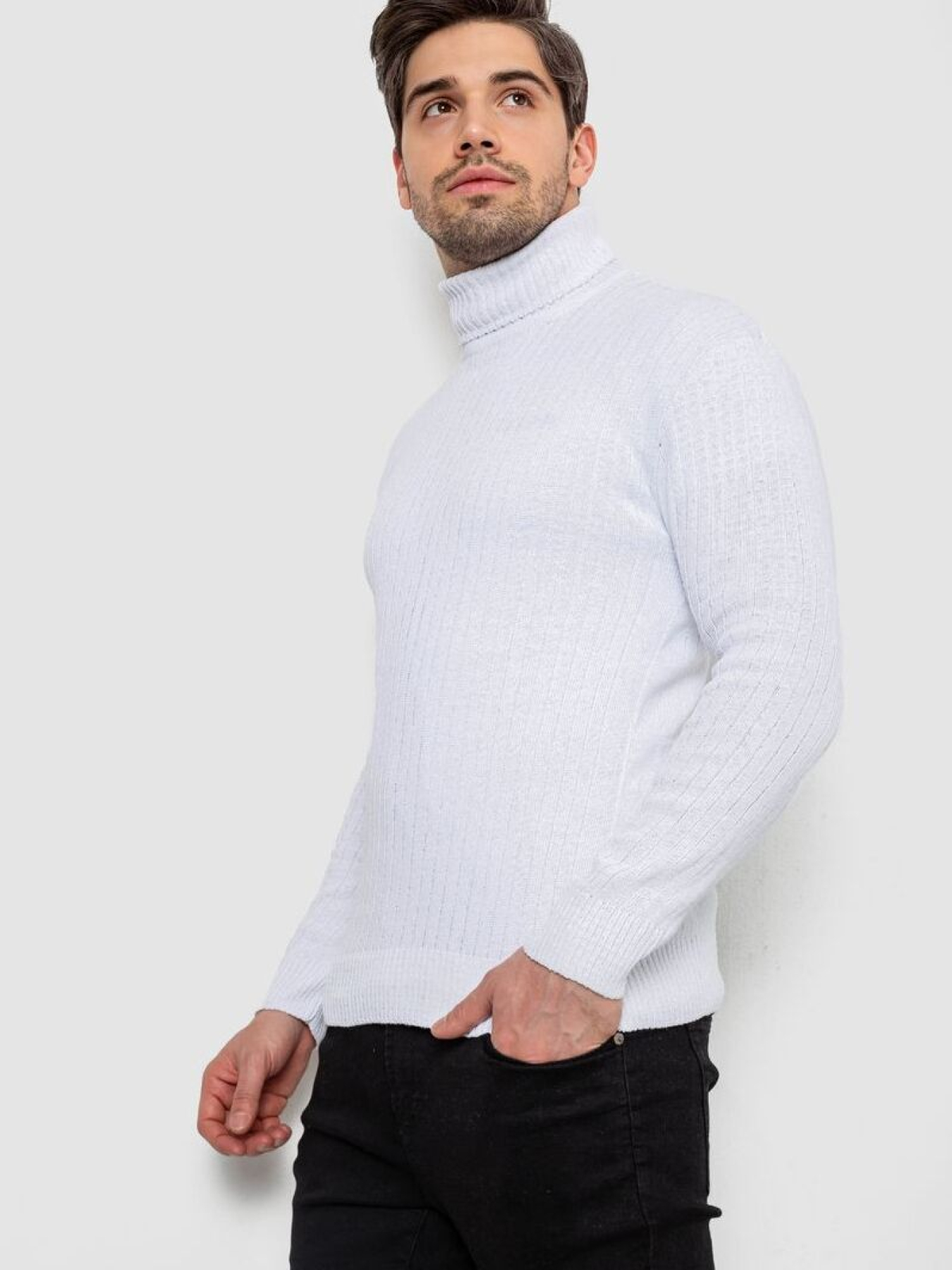 Водолазка Ager модель У-1126499::000000014 Фото