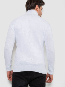 Водолазка Ager модель У-1126499::000000014 Фото