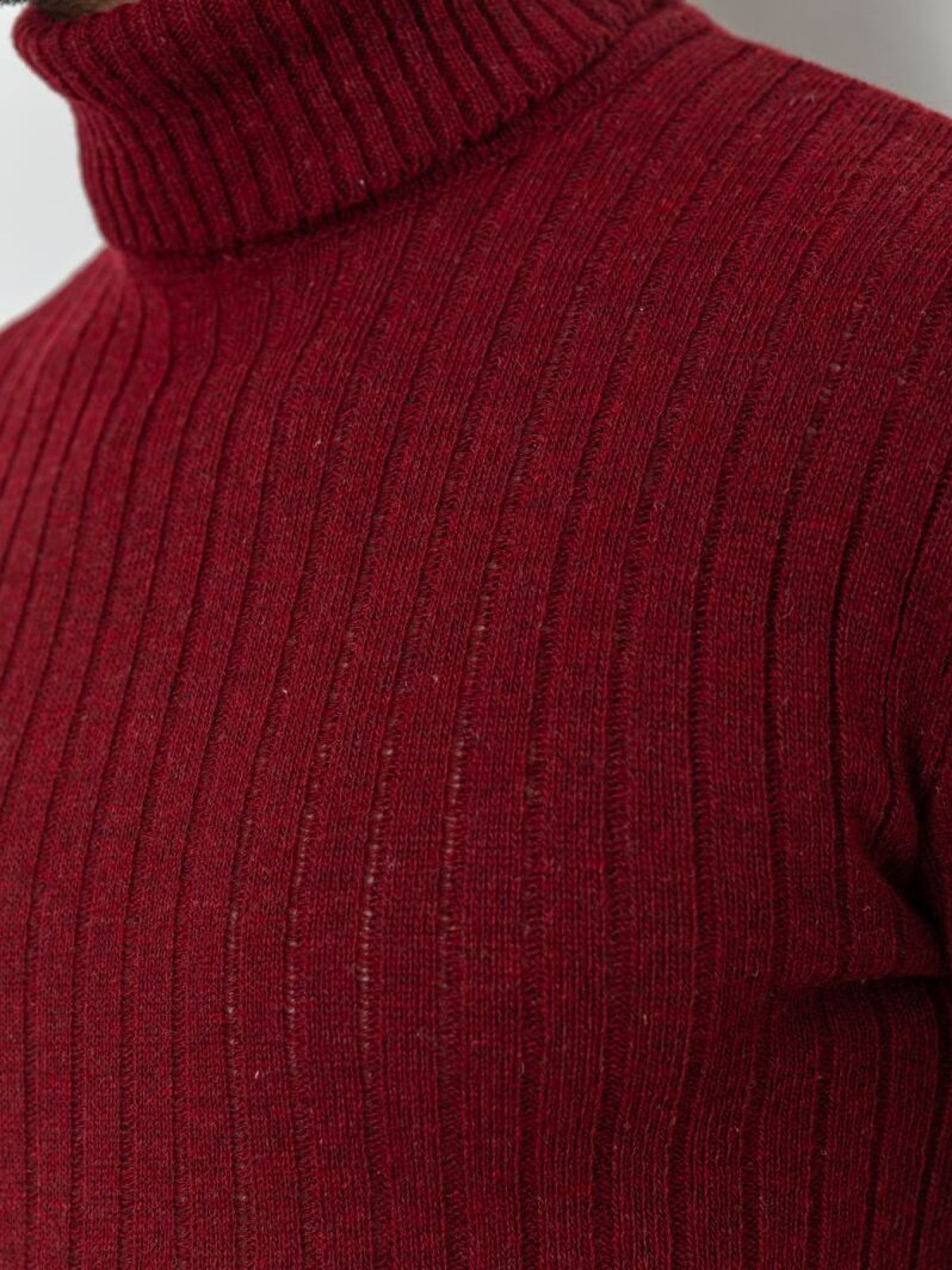 Водолазка Ager модель У-1126499::000000029 Фото