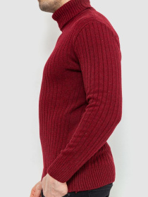 Водолазка Ager модель У-1126499::000000029 Фото