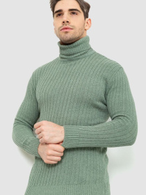 Водолазка Ager модель У-1126499::000000158 Фото