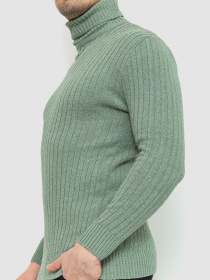 Водолазка Ager модель У-1126499::000000158 Фото