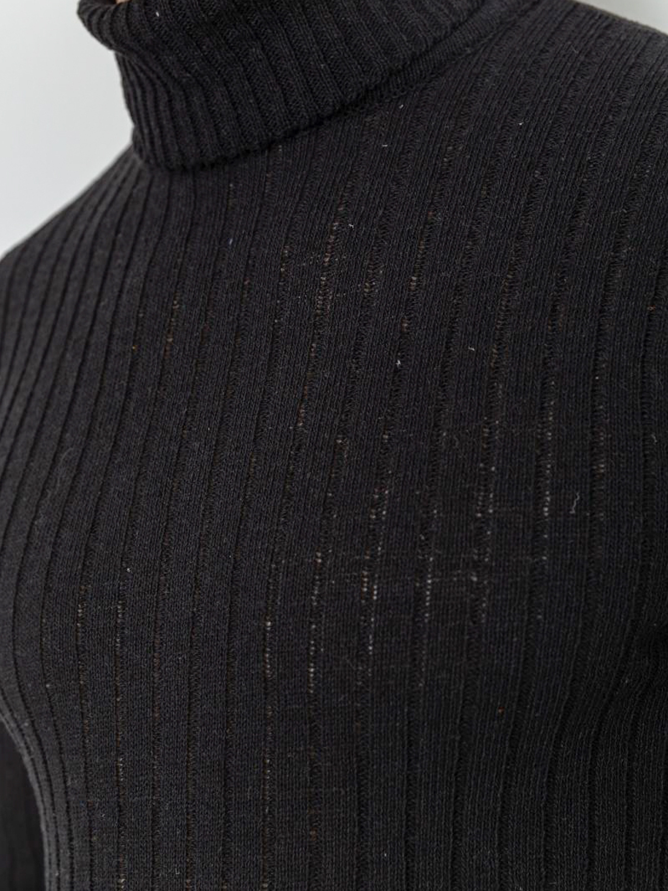 Водолазка Ager модель У-1126499::000000096 Фото