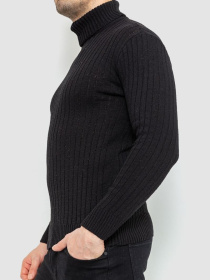 Водолазка Ager модель У-1126499::000000096 Фото