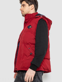 Жилет с утеплителем Ager модель У-1133106::У-0000403 Фото