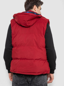 Жилет с утеплителем Ager модель У-1133106::У-0000403 Фото