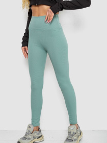 Легінси Ager модель У-1135277::000000158 Фото