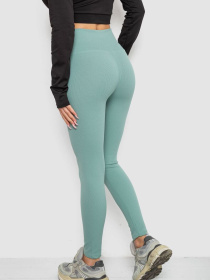 Легінси Ager модель У-1135277::000000158 Фото