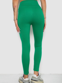 Леггинсы Ager модель У-1138218::000000040 Фото