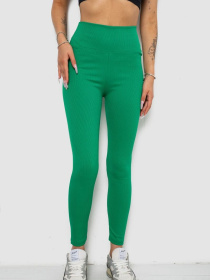 Легінси Ager модель У-1138218::000000040 Фото