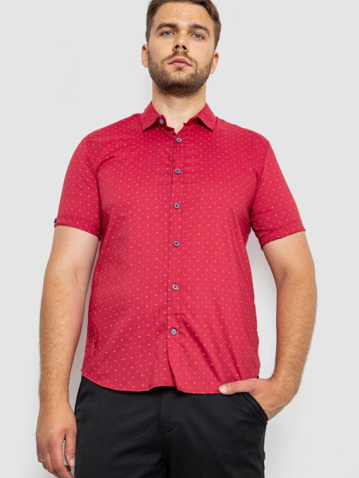 Рубашка Ager модель У-1138226::000000029 Фото