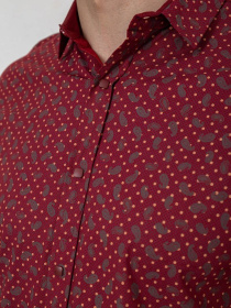 Рубашка повседневная Ager модель У-1138800::000000029 Фото