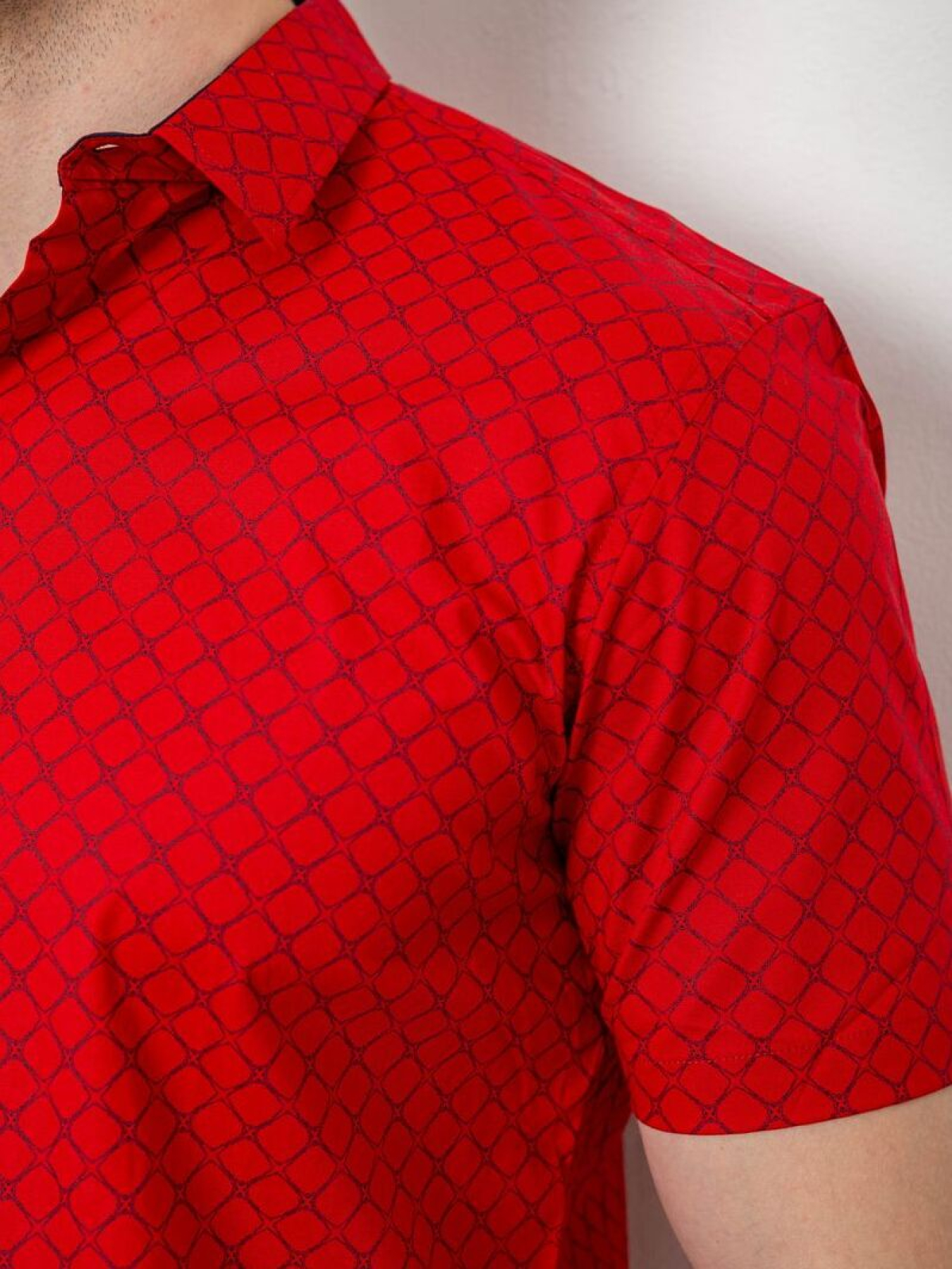 Рубашка Ager модель У-1138164::000000050 Фото