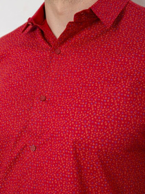 Рубашка Ager модель У-1138167::000000029 Фото