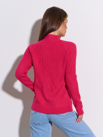 Водолазка ISSA Plus модель WN20-48_малиновый Фото