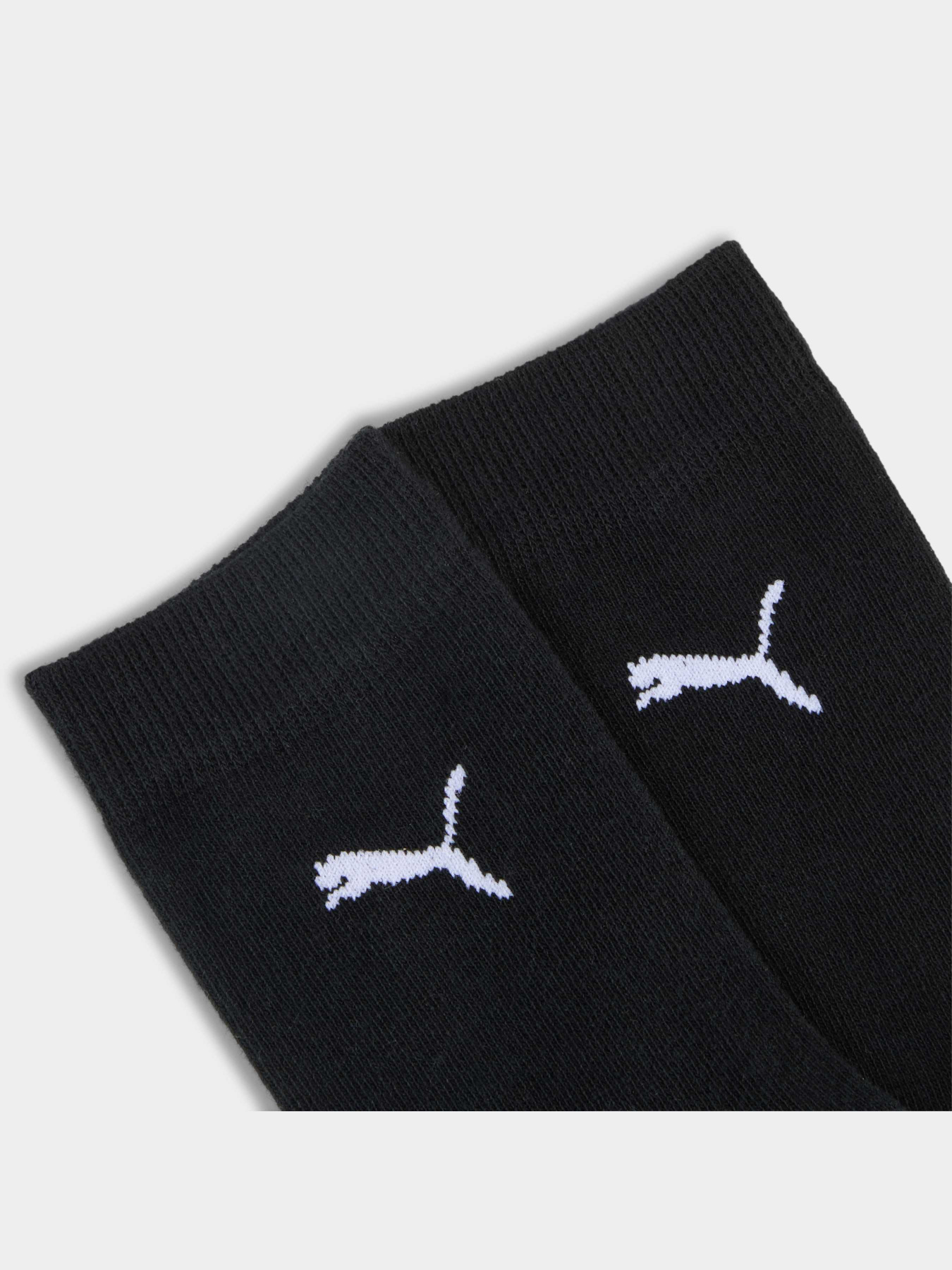 Набір шкарпеток PUMA Kids Easy Rider Sock 2p модель 938376 Фото