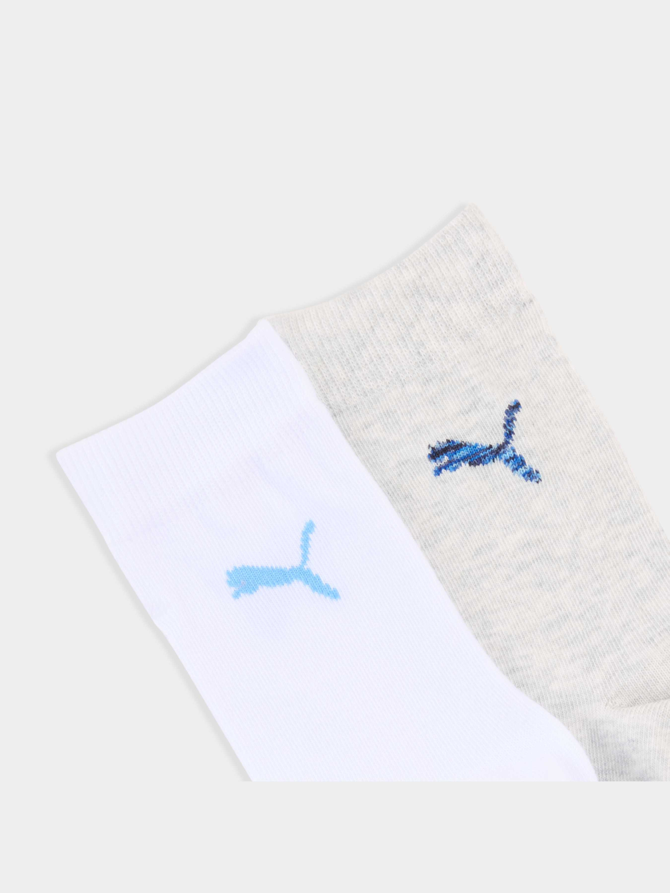 Набір шкарпеток PUMA Kids Easy Rider Sock 2p модель 938376 Фото