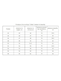 Вишиванки MEREZHKA модель vl1005 Фото