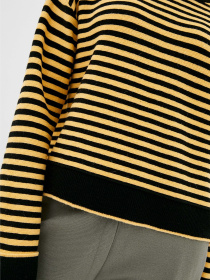 Джемпер Sewel модель JW871013700 Джемпер Sewel модель JW871013700 Фото