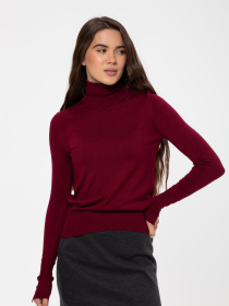 Водолазка Famo модель GO-1268_04 Фото