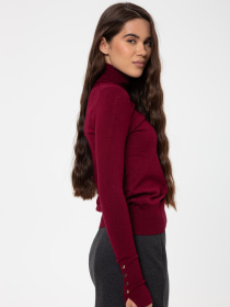 Водолазка Famo модель GO-1268_04 Фото