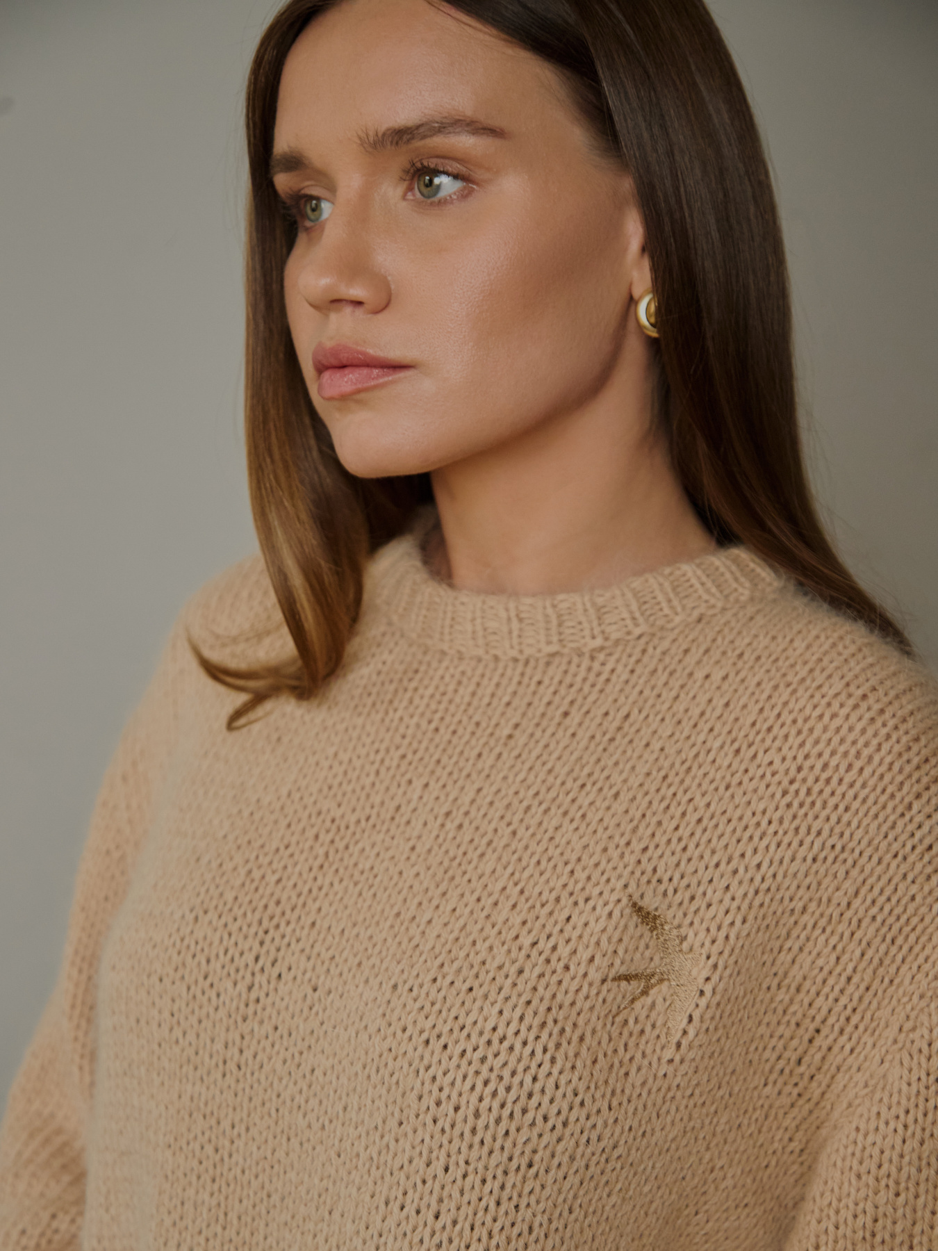 Джемпер GNIZDO модель LFHKASSEBGC Фото