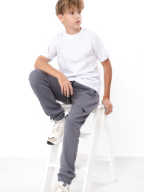 Джоггеры Носи своє модель 6282-104-temnij-graft Фото