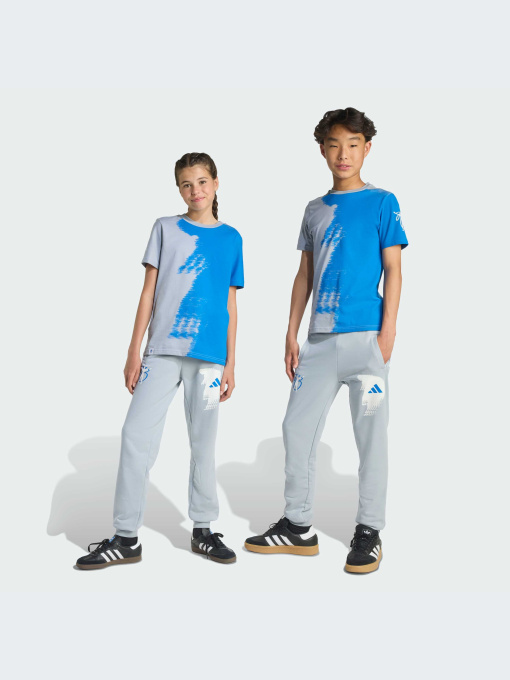 Брюки Adidas модель JX6310-KZ Фото