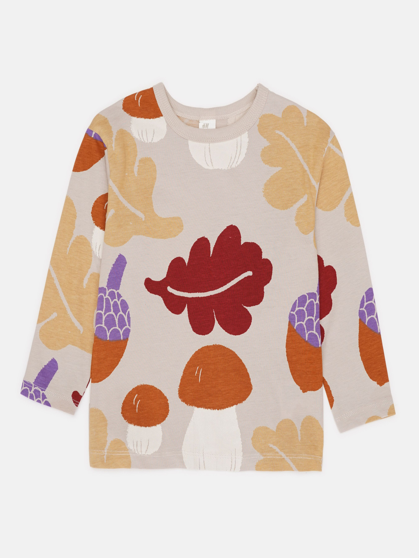 Лонгслив H&M модель 77543 Фото