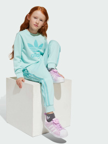 Спортивный костюм Adidas Adicolor модель JC6609 Фото