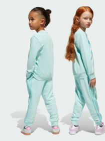 Спортивний костюм Adidas Adicolor модель JC6609 Фото