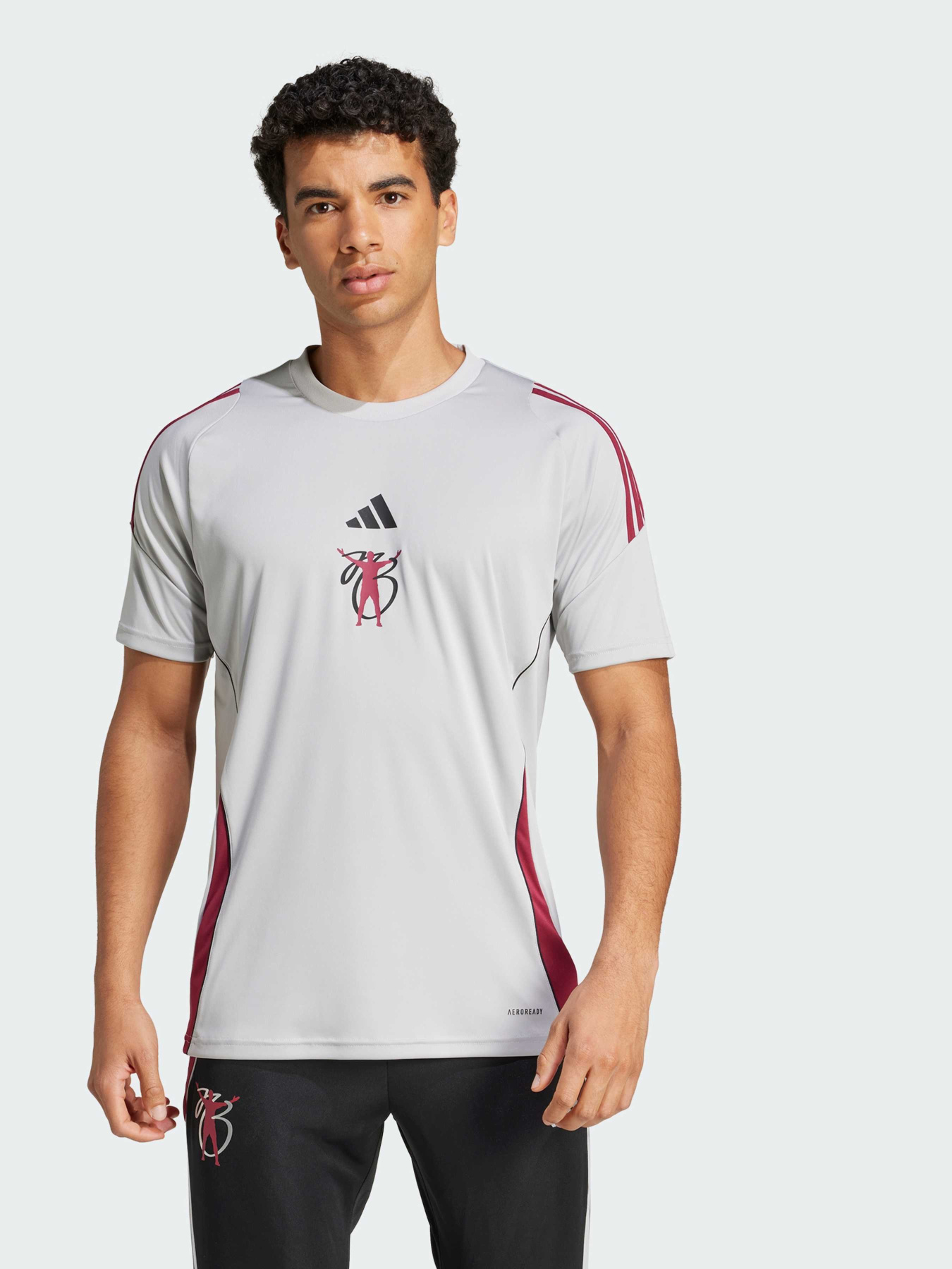 Спортивная футболка Adidas модель JX1954 Фото