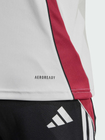 Спортивная футболка Adidas модель JX1954 Фото