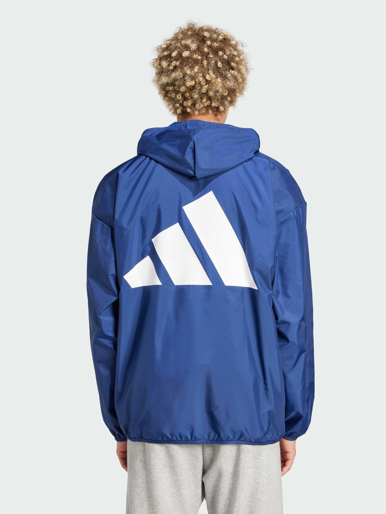 Вітровка Adidas модель JE6385 Фото