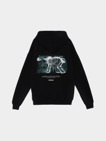 Худи Bezlad Бурий ведмідь модель bezladhudidoslidzhuyvedmid Фото