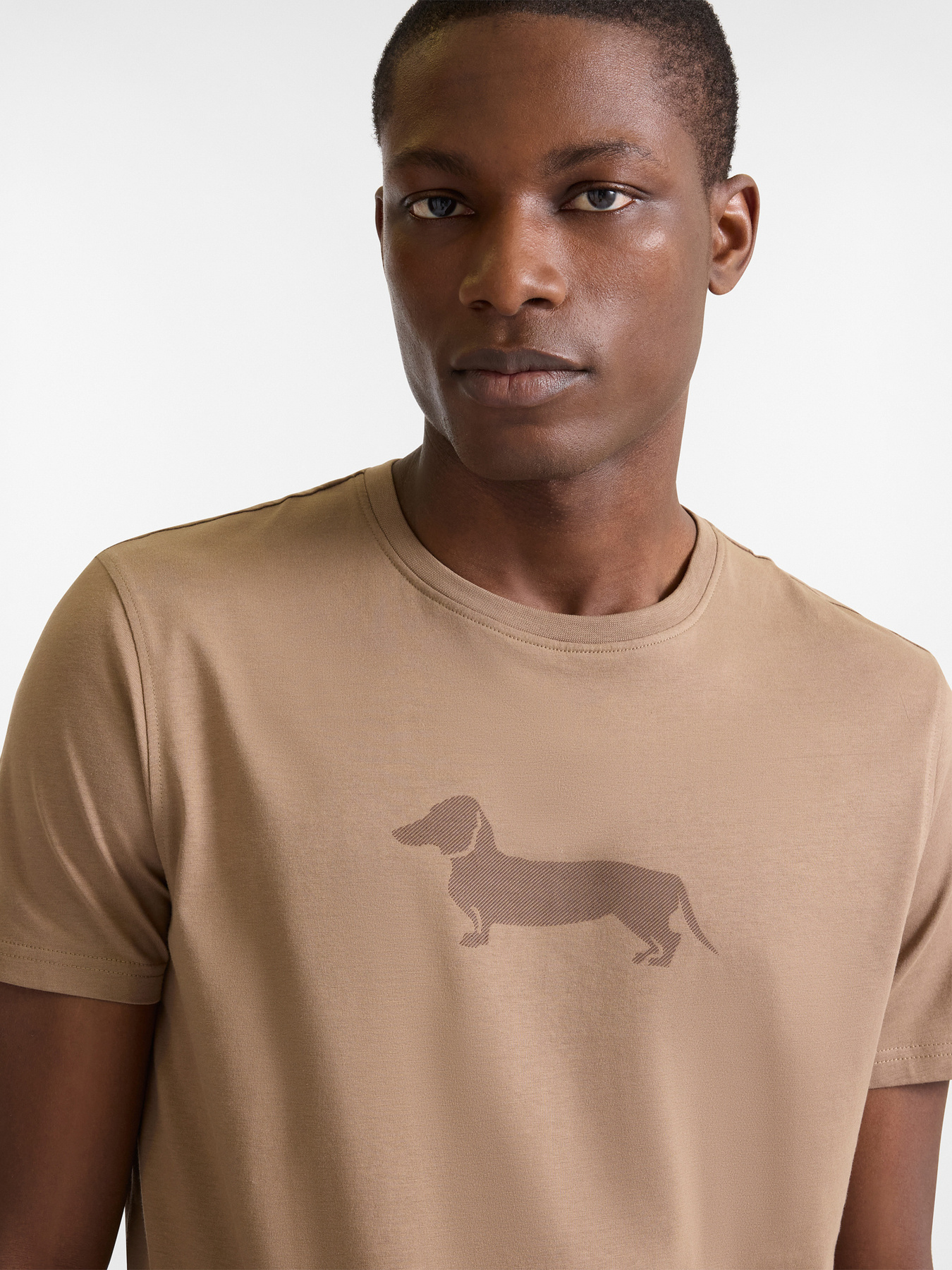 Футболка Harmont&Blaine модель IRP403021055S_704 Фото