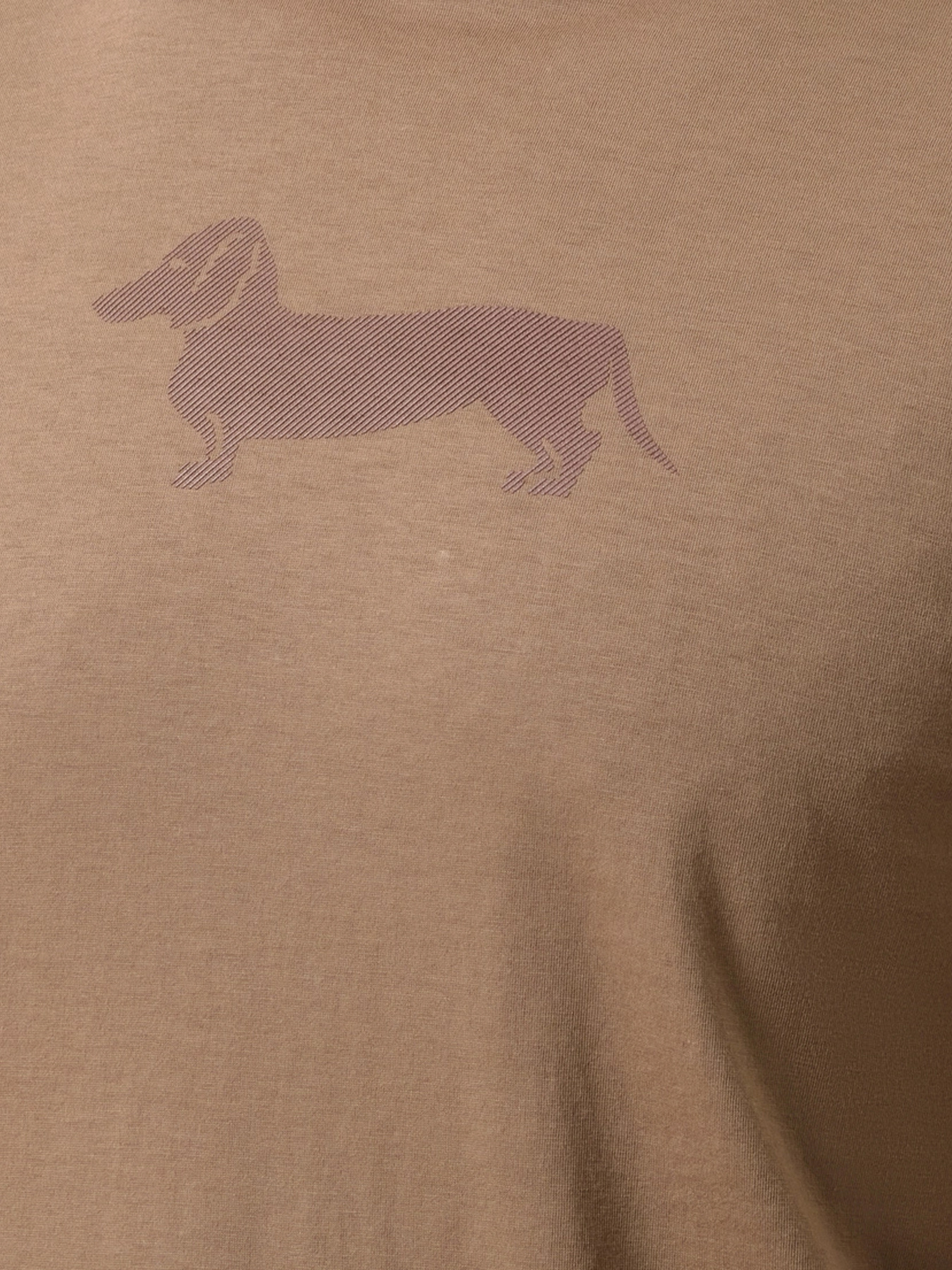 Футболка Harmont&Blaine модель IRP403021055S_704 Фото