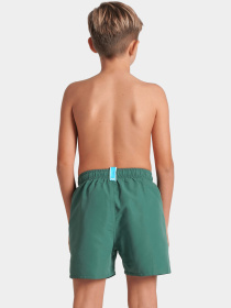 Шорти для плавання Arena модель 006447-661 Фото