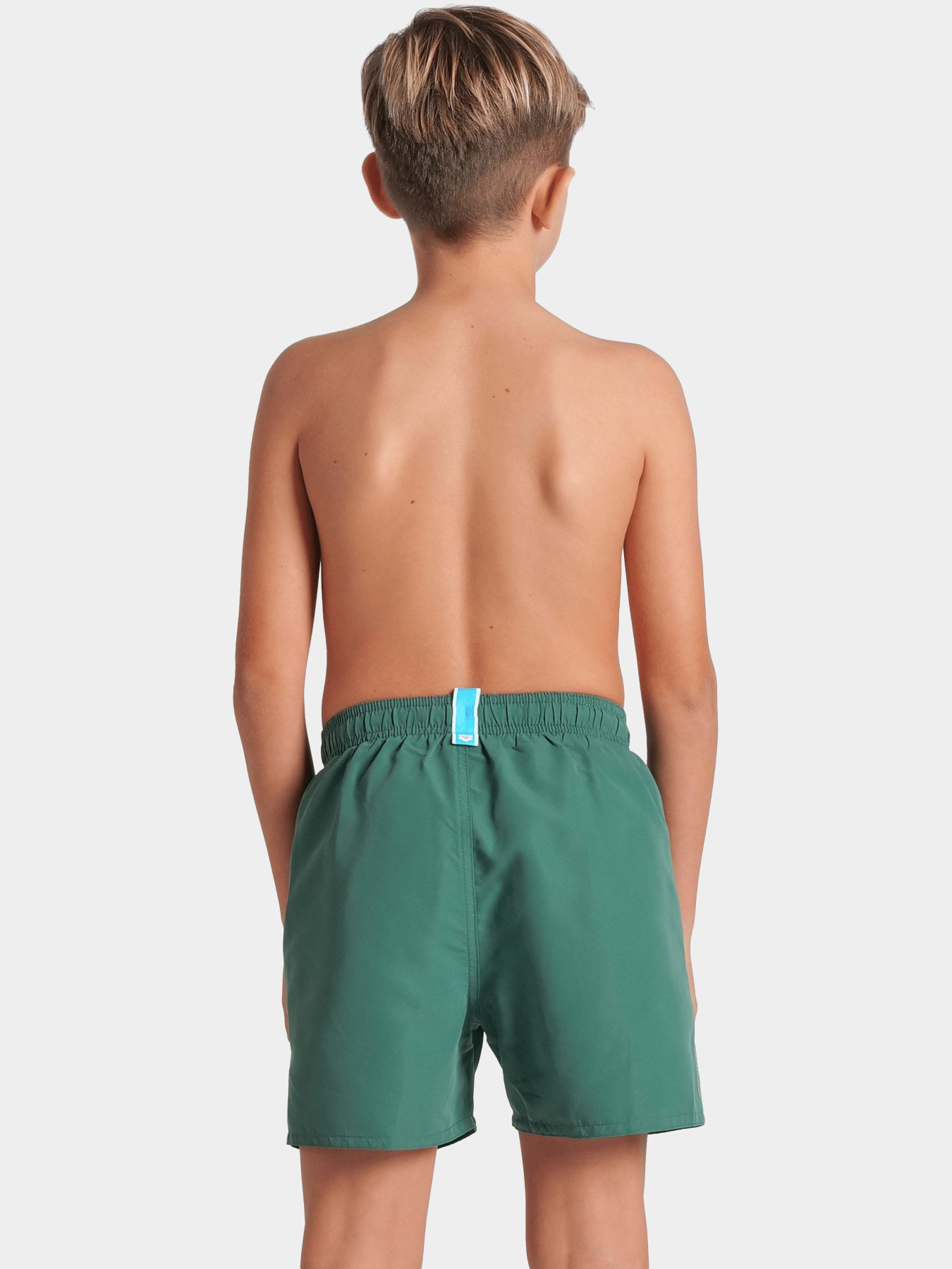 Шорти для плавання Arena модель 006447-661 Фото