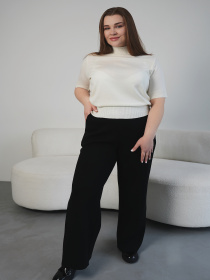 Повседневные штаны Nita модель bryuki-n2403-25-cherne Фото