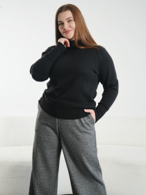 Брюки классические Nita модель bryuki-n1408-svetlj-grafit-24 Фото