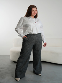 Классические штаны Nita модель bryuki-n1408-svetlj-grafit-24 Фото