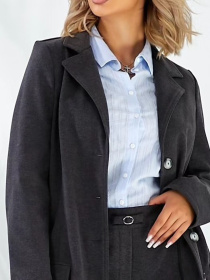 Брюки классические LadyLike модель ll05060191-srij Фото