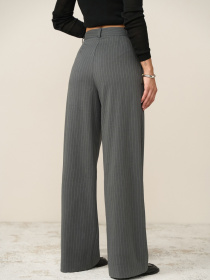 Брюки классические TrikoBakh модель 3079-graftovij Фото